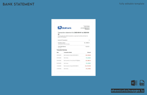 Beispiel für einen Transaktionsauszug von MobiKwik in Indien (Vorschau)